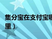 集分宝在支付宝哪里查看（集分宝在支付宝哪里）