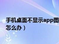 手机桌面不显示app图标怎么办（手机桌面app图标不见了怎么办）