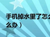 手机掉水里了怎么办oppo（手机掉水里了怎么办）