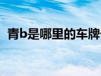 青b是哪里的车牌号（青B是哪里的车牌号）