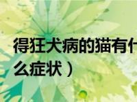 得狂犬病的猫有什么症状（得狂犬病的人有什么症状）