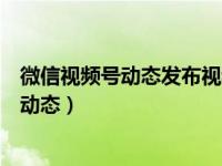 微信视频号动态发布视频的方法（微信视频号怎么发布视频动态）