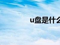 u盘是什么梗（u盘是什么）