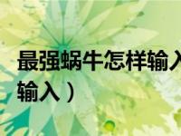 最强蜗牛怎样输入密令（最强蜗牛密令在哪里输入）