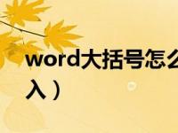 word大括号怎么输入（word大括号怎么输入）