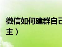 微信如何建群自己当群主（微信怎么建群当群主）