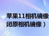 苹果11相机镜像无法关闭吗（苹果11怎么关闭原相机镜像）