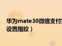 华为mate30微信支付指纹怎么设置（华为微信支付在哪里设置指纹）