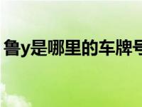 鲁y是哪里的车牌号码（鲁Y是哪里的车牌号）