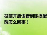 微信开启语音到账提醒还是没声音（微信语音来电没声音提醒怎么回事）