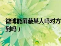 微博能屏蔽某人吗对方就看不到（微博可以屏蔽某个人看不到吗）