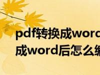 pdf转换成word后怎么编辑文字（pdf转换成word后怎么编辑文档）