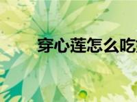 穿心莲怎么吃好吃（穿心莲怎么吃）