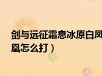 剑与远征霜息冰原白凤凰攻略（剑与远征霜息冰原5个白凤凰怎么打）