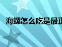 海螺怎么吃是最正确的方法（海螺怎么吃）