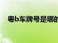 粤b车牌号是哪的（粤B是哪里的车牌号）