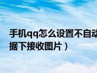 手机qq怎么设置不自动接收图片（手机QQ怎么关闭移动数据下接收图片）