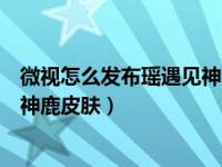 微视怎么发布瑶遇见神鹿战报（微视怎么领王者荣耀瑶遇见神鹿皮肤）