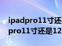 ipadpro11寸还是12.9寸玩和平精英（ipadpro11寸还是12.9寸）