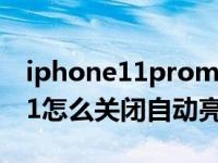iphone11promax自动调节亮度（iPhone11怎么关闭自动亮度调节）