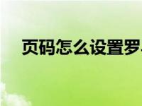 页码怎么设置罗马数字（页码怎么设置）