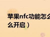 苹果nfc功能怎么开启视频（苹果nfc功能怎么开启）