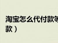 淘宝怎么代付款等待卖家改价（淘宝怎么代付款）