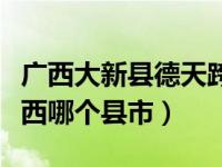 广西大新县德天跨国大瀑布（德天大瀑布在广西哪个县市）