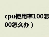 cpu使用率100怎么办苹果手机（cpu使用率100怎么办）