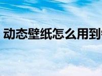 动态壁纸怎么用到锁屏上（动态壁纸怎么用）