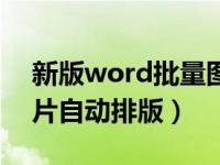 新版word批量图片自动排版（word批量图片自动排版）