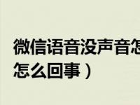 微信语音没声音怎么回事儿（微信语音没声音怎么回事）