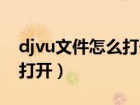 djvu文件怎么打开苹果电脑（djvu文件怎么打开）