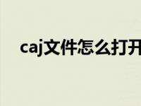 caj文件怎么打开ios（caj文件怎么打开）