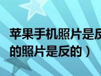 苹果手机照片是反的怎么办（苹果手机拍出来的照片是反的）