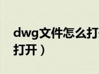 dwg文件怎么打开手机安卓（dwg文件怎么打开）