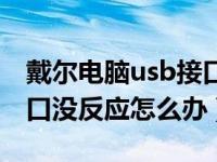 戴尔电脑usb接口没反应怎么办（电脑usb接口没反应怎么办）