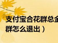 支付宝合花群总金额怎么转出来（支付宝合花群怎么退出）