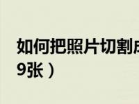 如何把照片切割成9个（手机如何把照片切成9张）