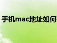 手机mac地址如何找（手机mac地址怎么查）