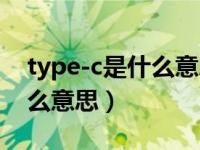 type-c是什么意思是圆还是扁（type-c是什么意思）