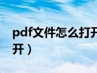 pdf文件怎么打开苹果手机（pdf文件怎么打开）