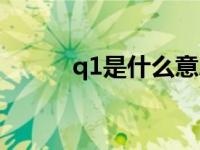 q1是什么意思（q1是什么意思）
