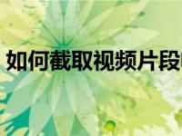 如何截取视频片段电脑（如何截取视频片段）