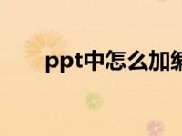 ppt中怎么加编号（ppt怎么加编号）