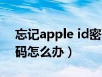 忘记apple id密码怎么办（忘记apple id密码怎么办）