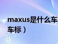 maxus是什么车车标价位（maxus是什么车车标）