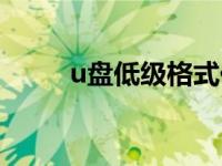 u盘低级格式化（u盘低级格式化）