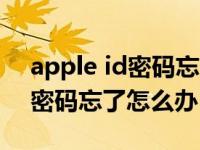 apple id密码忘了怎么办怎么改（apple id密码忘了怎么办）