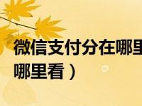 微信支付分在哪里看是多少分（微信支付分在哪里看）